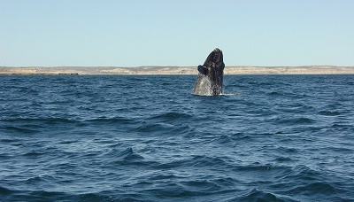 Five Masterpieces of Nature in Europe