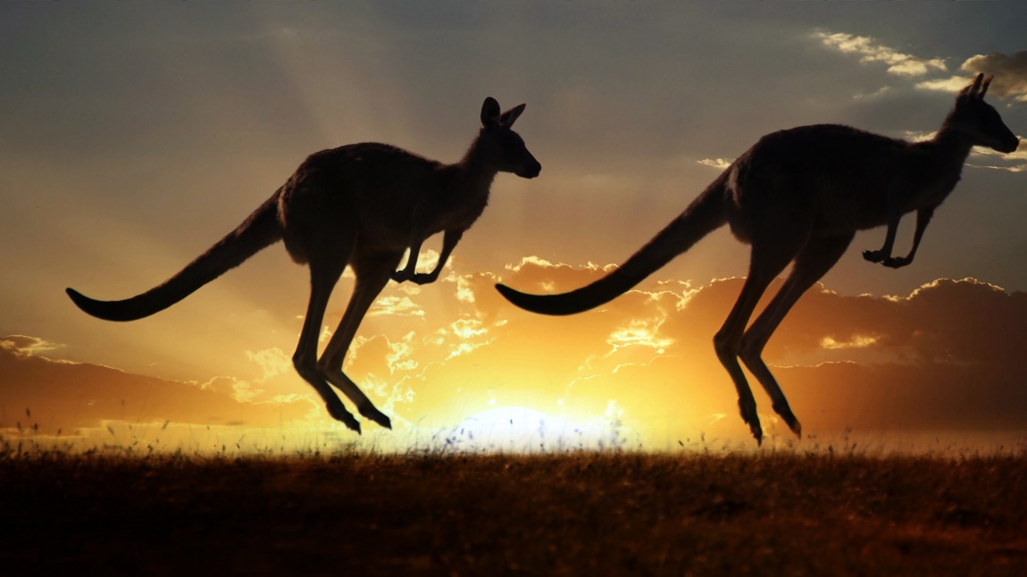 Australia1.jpg