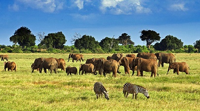 Five Masterpieces of Nature in Europe